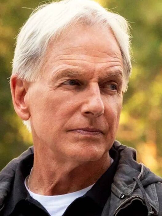 NCIS: Tony e Ziva prestam homenagem secreta a Gibbs em cena caótica