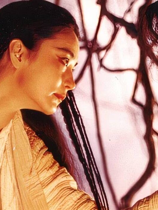 Filmes de Artes Marciais Sobrenaturais: 10 Imperdíveis