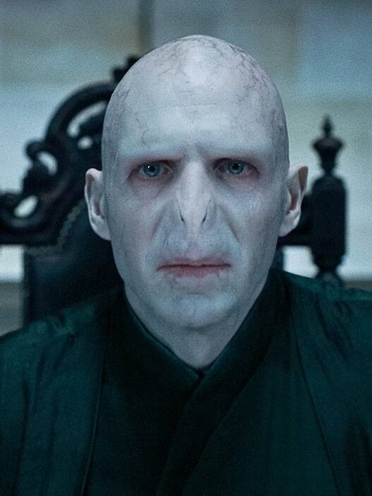 Ralph Fiennes Responde Rumores do Elenco de 'Harry Potter' da HBO