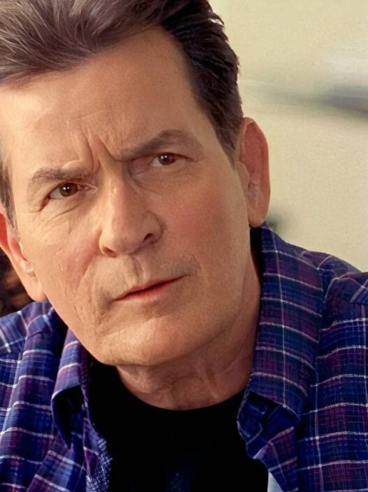 Charlie Sheen: sucesso no Netflix, mas não para a crítica