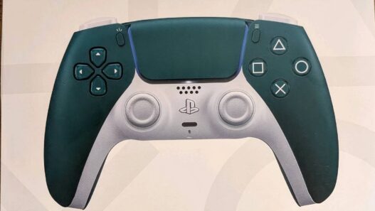 Controle PS5 Raro Destruído: Colecionador Sofre Prejuízo