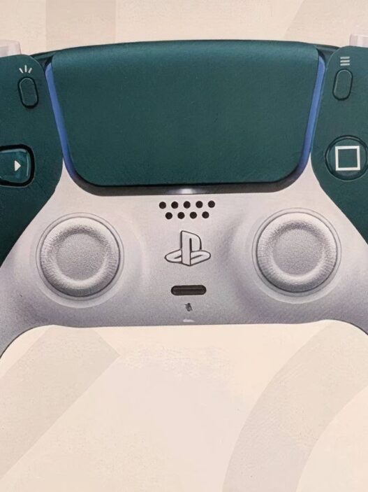 Controle PS5 Raro Destruído: Colecionador Sofre Prejuízo