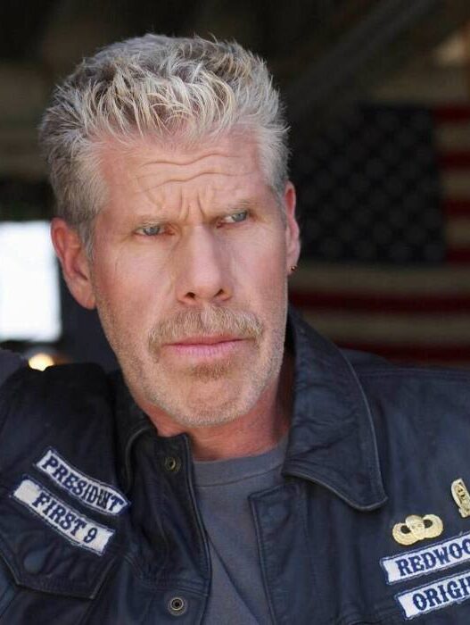 Melhores Dramas Policiais no Hulu: 5 Séries Imperdíveis