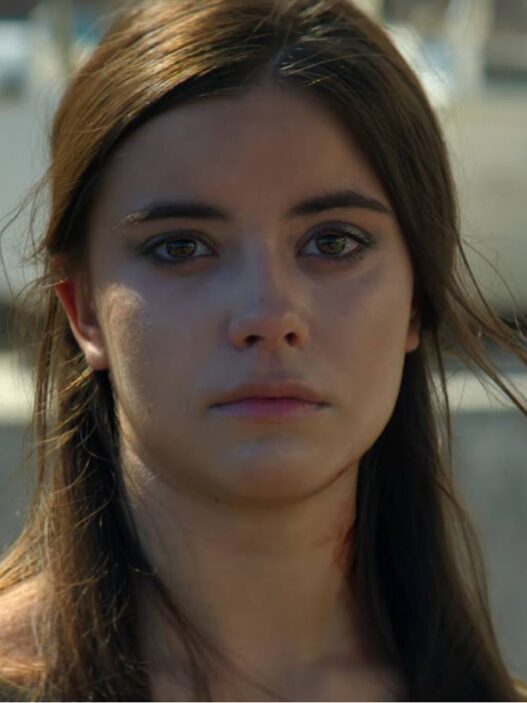 Wednesday: Série da Netflix Conquista o Streaming
