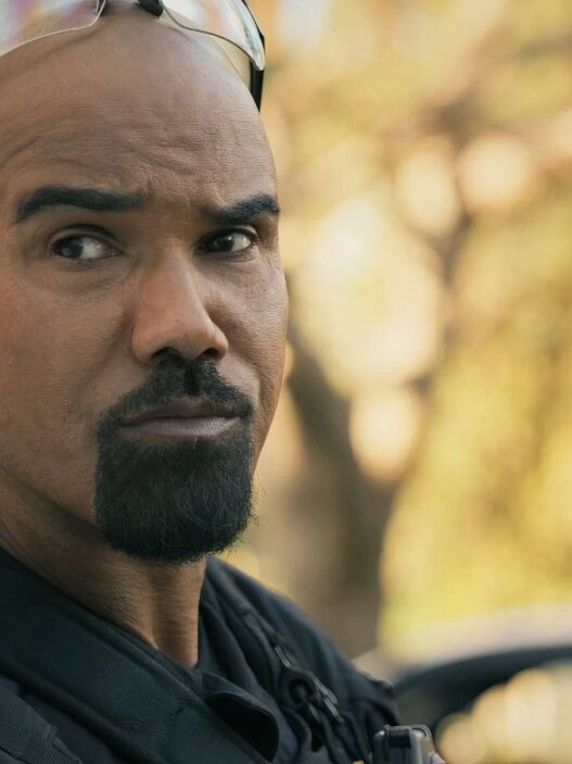 SWAT: Dois personagens retornam no spin-off com Shemar Moore