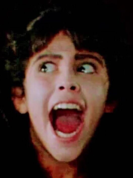 Remake de clássico do terror dos anos 80 está a caminho