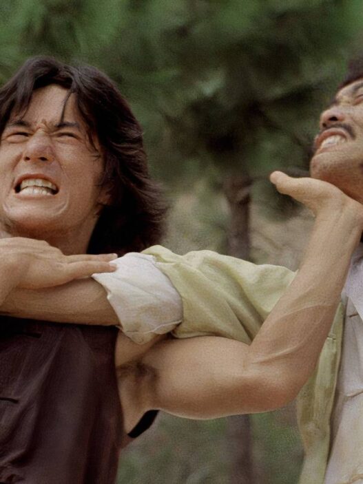 5 Filmes de Artes Marciais para Assistir Já: De Jackie Chan a JCVD
