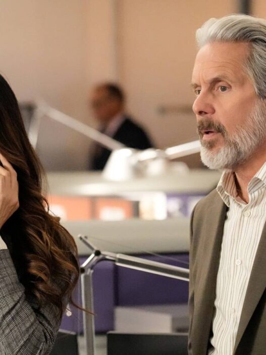 NCIS 23ª Temporada: Homenagem a Gibbs com reviravolta inédita em 12 anos