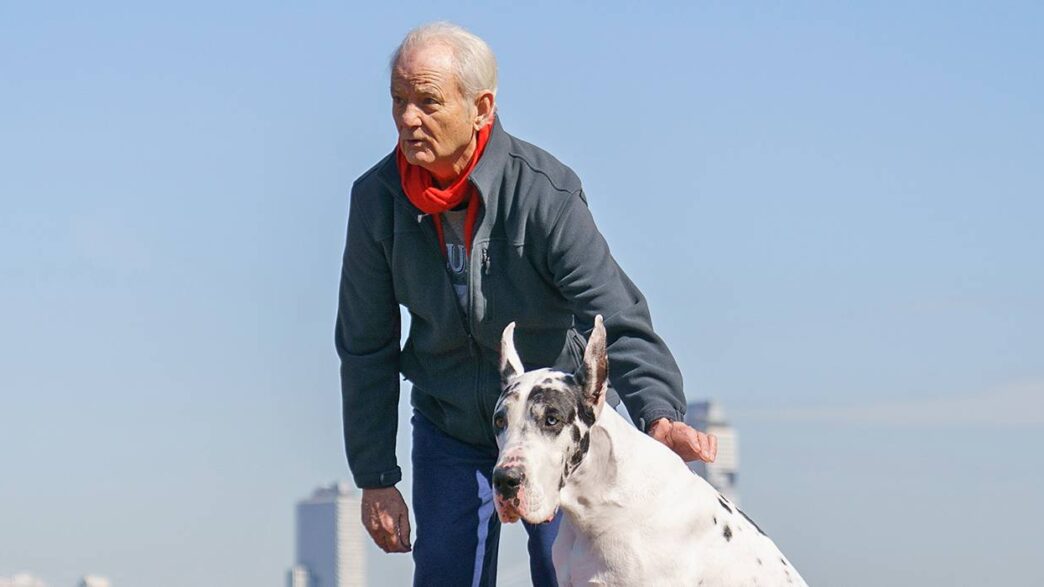 Marley & Me': Sucesso de bilheteria inesperado nos EUA