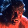An American Werewolf in London ganha edição 4K em Steelbook