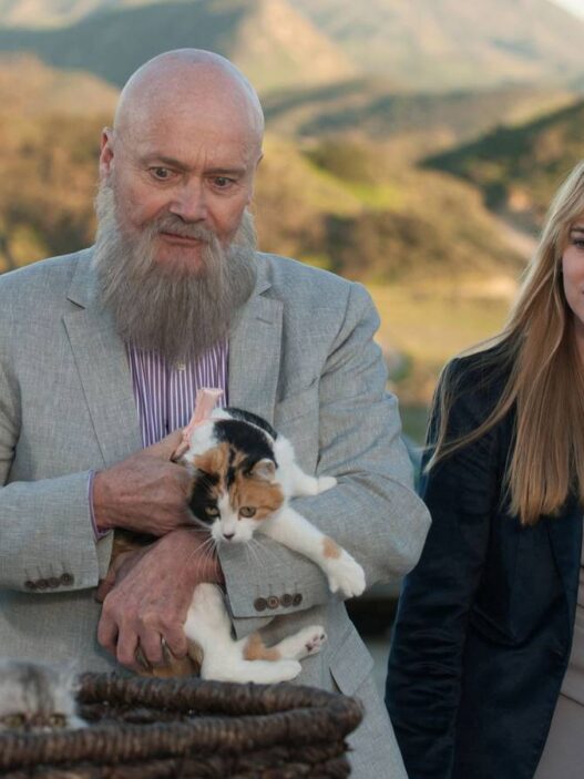 Melhor Romance de Escritório da TV: Por que a Internet Está Errada