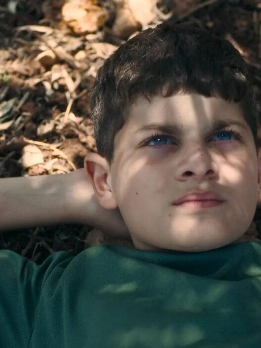 Ministro israelense corta verba após filme palestino vencer premiação