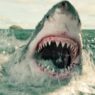 Open Water de Volta ao Streaming: O Melhor Filme de Tubarão Desde Tubarão