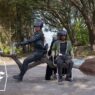 Nova imagem surreal de 'A Árvore do Conhecimento' é revelada