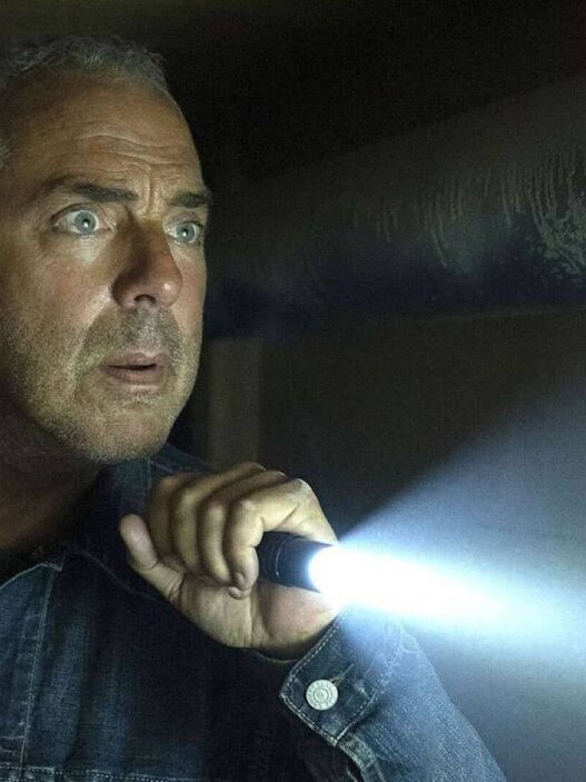 Fãs de Bosch terão novo thriller com Harry Bosch