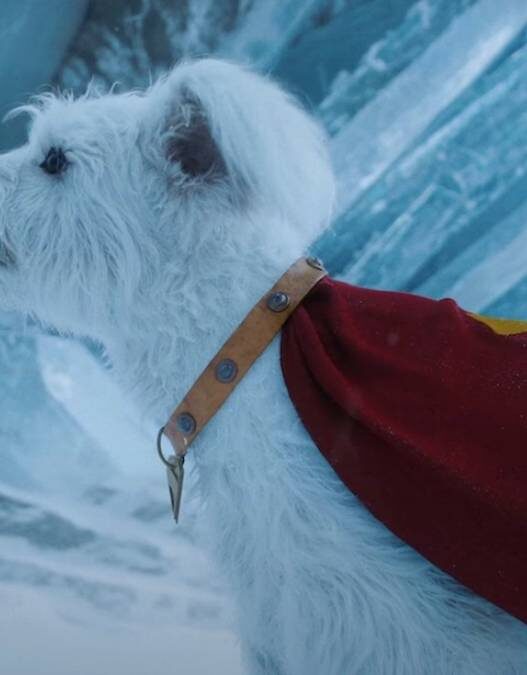 Cena deletada de Superman: Mr. Terrific e Krypto juntos