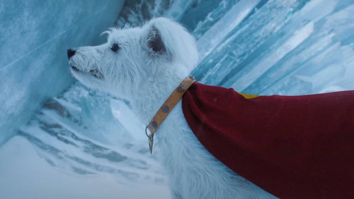 Cena deletada de Superman: Mr. Terrific e Krypto juntos