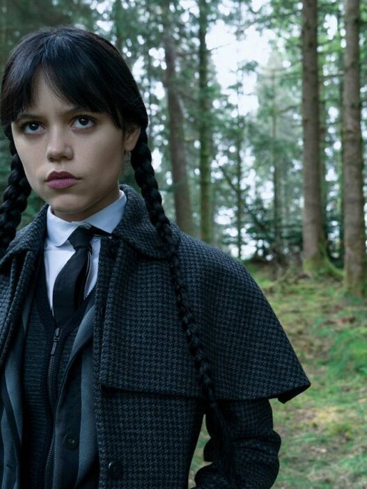 Wednesday 3ª Temporada: O Que Esperar e Quando Estreia?