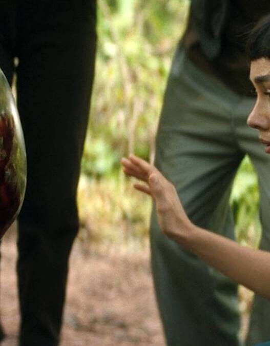Alien: A Terra Muda Tudo Sobre Xenomorfos 46 Anos Depois