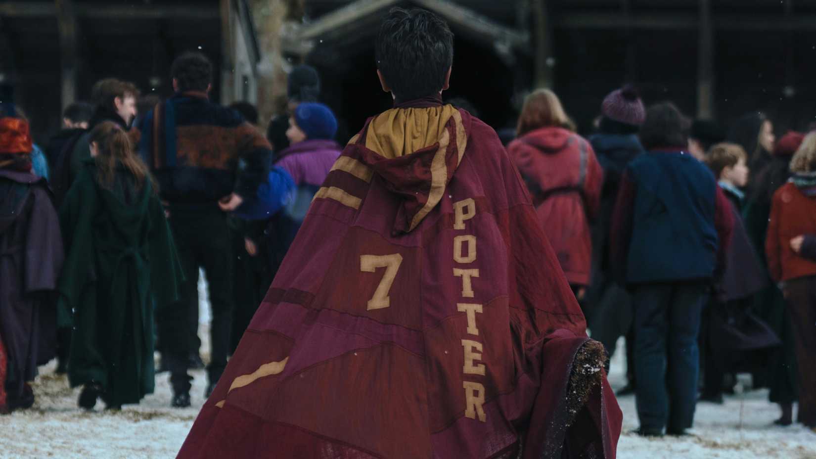 Dominic McLaughlin como Harry Potter