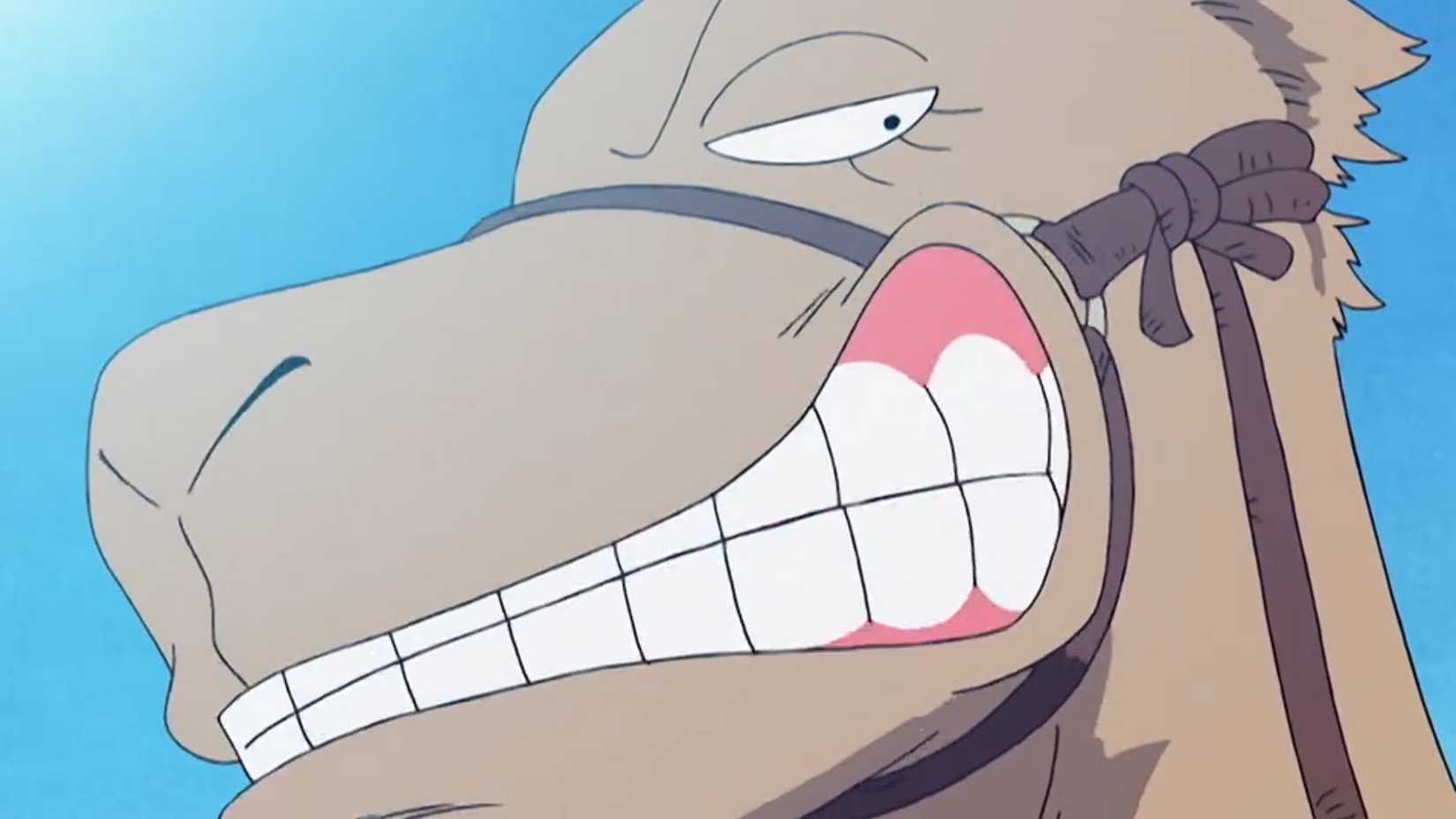 O camelo Eyelash sorri para Chopper